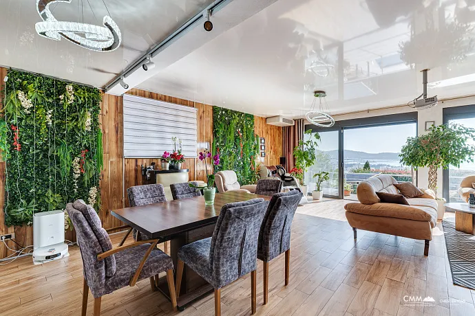 Modern villa in Susanj